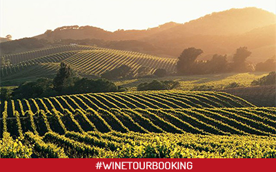 inflight ads wine tour booking